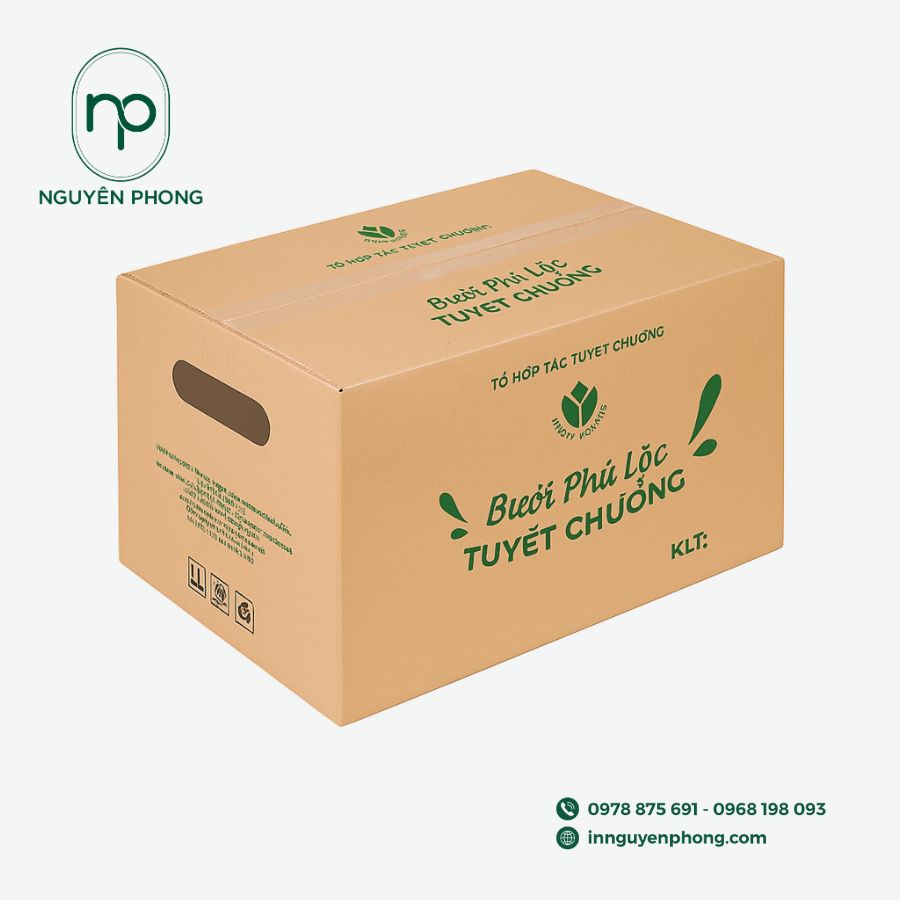 in-thung-carton-gia-re-tai-TPHCM